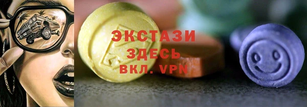 соль ск Алексин