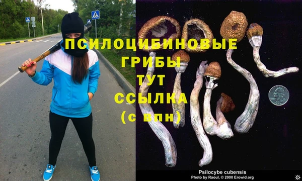 соль ск Алексин