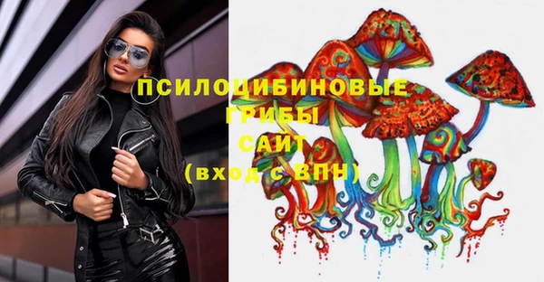соль ск Алексин