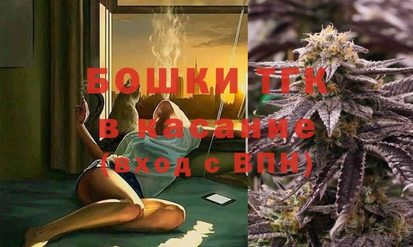 тгк Алзамай