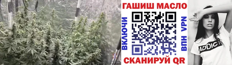 ТГК гашишное масло  Ивангород 